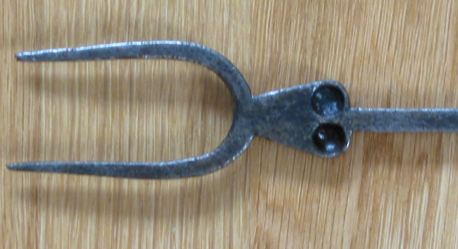 7132ToastingFork2.jpg